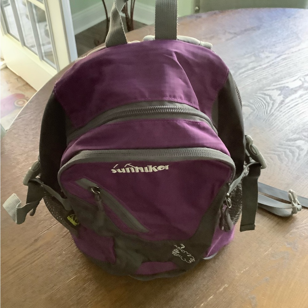 Sunhiker Purple and Gray Backpack